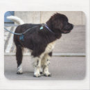 Suche nach weiße hunde mousepads Punkte