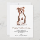Suche nach cocker spaniel hunde karten Für sie
