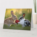 Suche nach babys erstes ostern karten Kaninchen