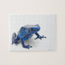 Suche nach reptilien puzzle Muscheln