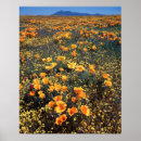 Suche nach kalifornien poster California