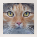 Suche nach face puzzle Katze
