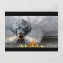 Suche nach chaos postkarten Süß
