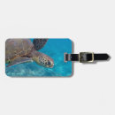 Suche nach meeresschildkröte gepäckanhänger Reptil