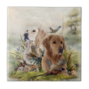 Suche nach fasan fliesen Labrador