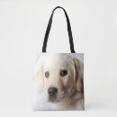 Suche nach goldener labrador taschen Welpe
