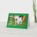 Suche nach beste wünsche ihren geburtstag karten Familie