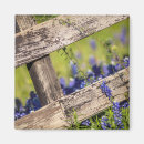 Suche nach zäune magnete Ländliche szene