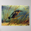 Suche nach eisvogel poster Vogelliebhaber