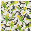 Suche nach budgies Papageien