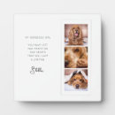 Suche nach hunde beileid fotoplatten Katze