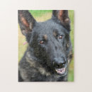 Suche nach schäferhund puzzle Haustier