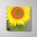 Suche nach sonnenblume leinwandbilder Blau