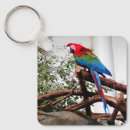 Suche nach macaw schlüsselanhänger Rot grüner papagei