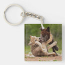 Suche nach canis lupus schlüsselanhänger Wölfe