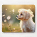 Suche nach king mousepads Bezaubernd
