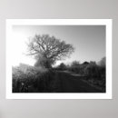 Suche nach eichenbaum poster Winter