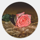 Suche nach nah aufkleber Fotografie