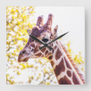 Suche nach gefährdete arten wanduhren Giraffe