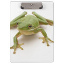 Suche nach frosch klemmbrett Niedlich