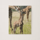 Suche nach camouflagen puzzle Braun