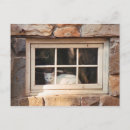 Suche nach steinhaus poster Fenster