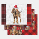 Suche nach blutig geschenkpapier Haustiere