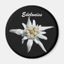 Suche nach edelweiss magnete Blumenreich