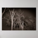 Suche nach dunkler wald poster Dunkle ästhetik