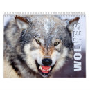 Suche nach wolf kalender Wildtiere
