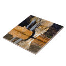 Suche nach säugetiere fliesen Wild lebende tiere