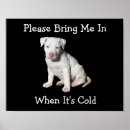 Suche nach kleiner hund poster Hunde