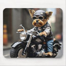 Suche nach yorkies mousepads Spaß