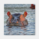 Suche nach hippo magnete Afrikanisches tier