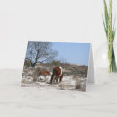 Suche nach stute und fohlen karten Pony