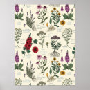Suche nach herbarium poster Botanisch