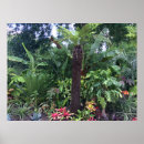 Suche nach vegetation poster Palmen
