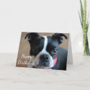 Suche nach terrier karten Hund