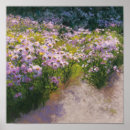 Suche nach lila aster poster Violette blumen