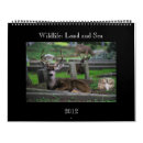 Suche nach wild lebende tiere kalender Schlange