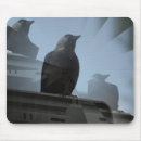 Suche nach schwarze krähe elektronik zubehör Vogelvogel