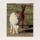 Suche nach alpaka puzzle Tier