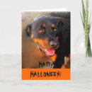 Suche nach halloween karten Glücklich