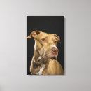 Suche nach nase leinwandbilder Vertikal