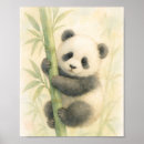 Suche nach baby panda poster Wildtiere