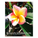 Suche nach 8x10 poster Regenbogen