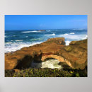 Suche nach otter poster Ozean