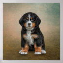 Suche nach canine poster Hund