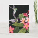 Suche nach plumeria karten Blume
