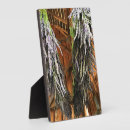 Suche nach scheune fotoplatten Bauernhof